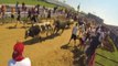 Raw Video: The Great Bull Run Brings Running With The Bulls To America