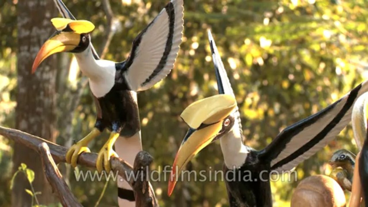 Nagaland-8