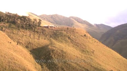 Nagaland-Dzokou valley landscape-1