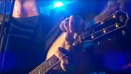 Travis Flowers in the Window at T in the Park 2013