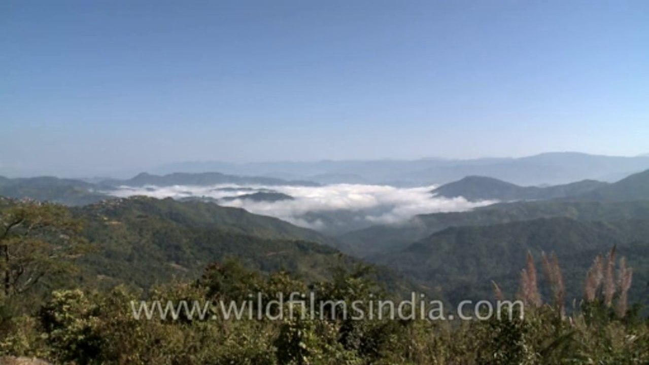 Nagaland-nature-2