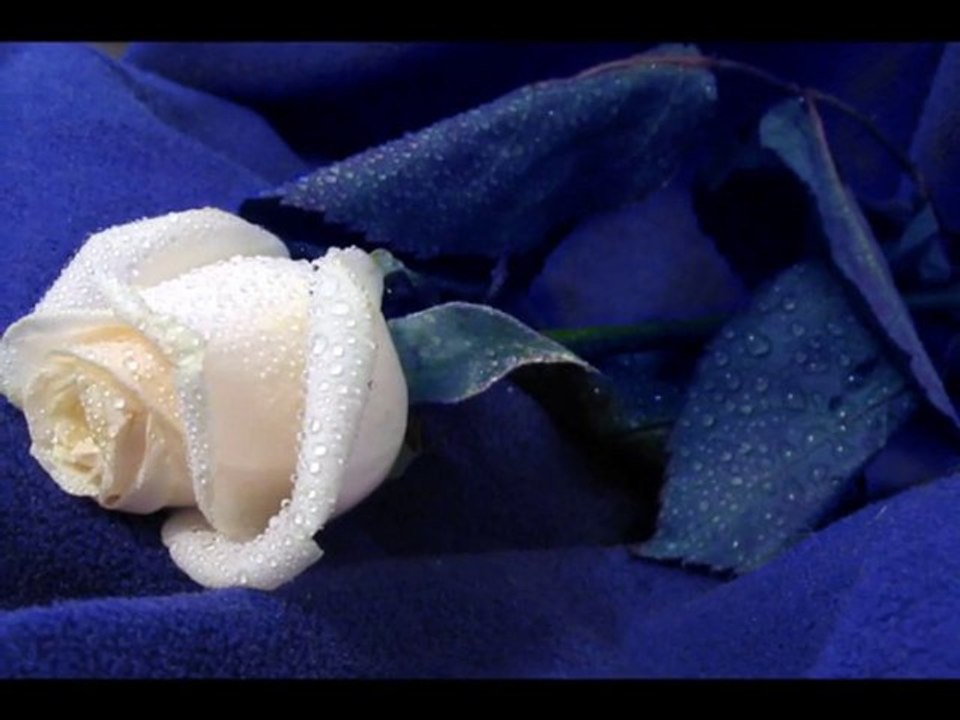 LES AMOURS MASCULINES