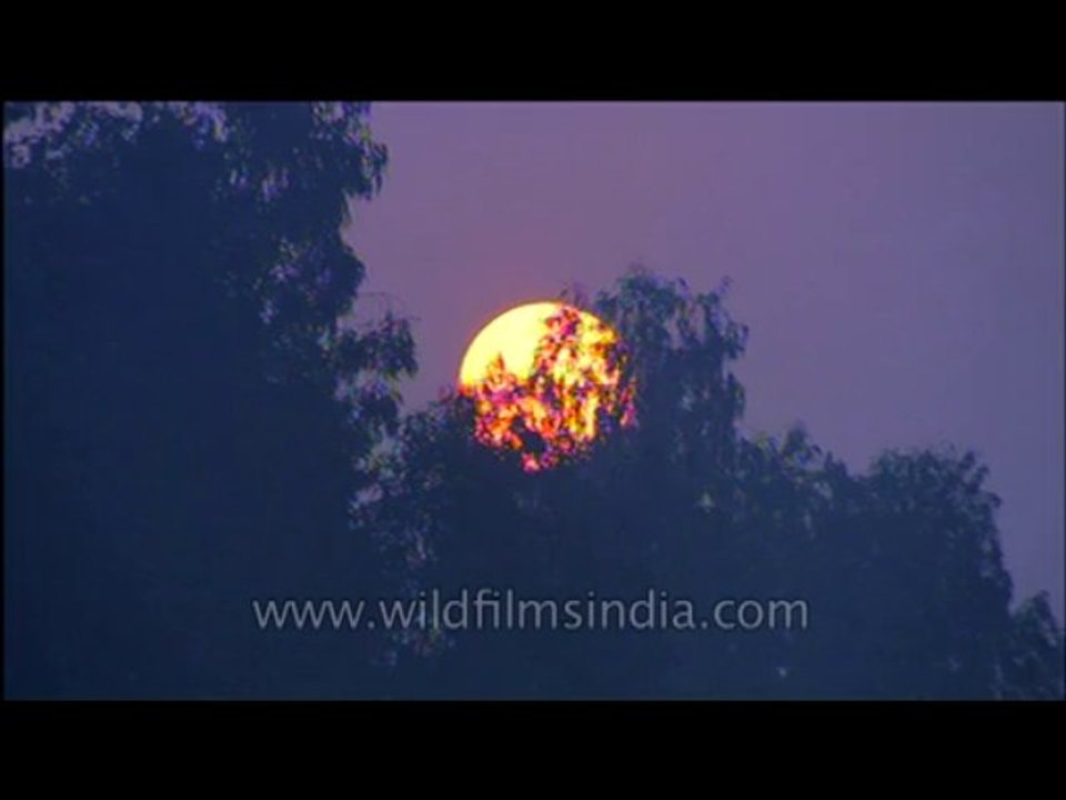 Sun rise-barelly-1