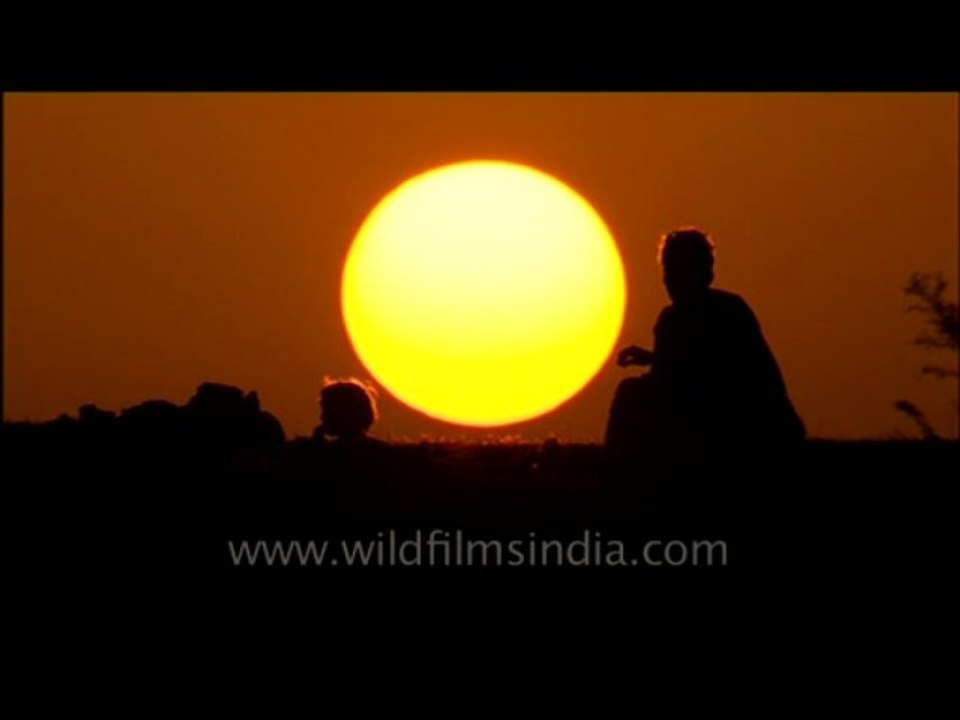 Sun set-barelly-1