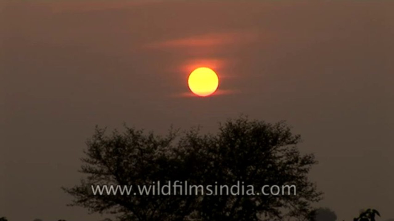 Sun set-UP-9