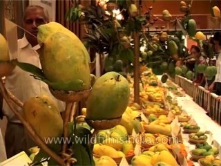 Delhi-Mango-Festival-Dvd-141-1