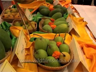 Delhi-Mango-Festival-Dvd-141-10