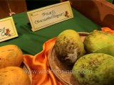 Delhi-Mango-Festival-Dvd-141-11