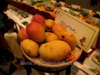 Delhi-Mango-Festival-Dvd-141-13