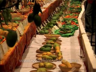 Delhi-Mango-Festival-Dvd-141-7