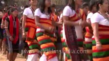 Hornbill Festival-North East-Tape-19-12