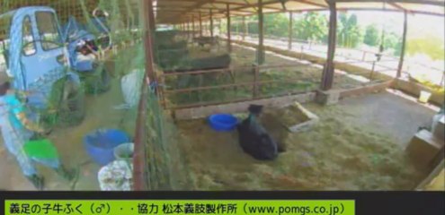 20130826  岡田さん網下ろす