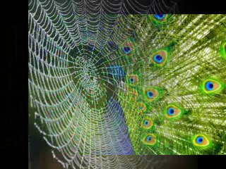 Sana  Yöneldim 1 Ayhan Büyükdere