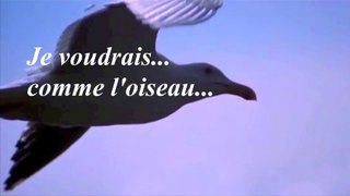 JE VOUDRAIS COMME L'OISEAU:MONTAGE-TEXTE-VOIX RENÉE-FRANCE BOURDARIE-GHARBI