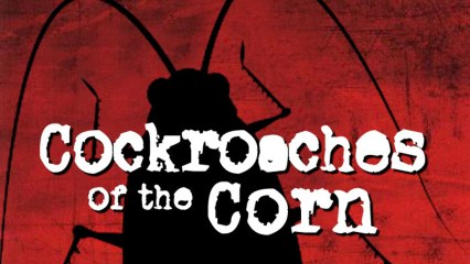 A Million Cockroaches Escape Farm In China