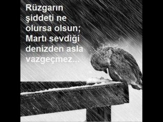 adem aydaş yalan oldu
