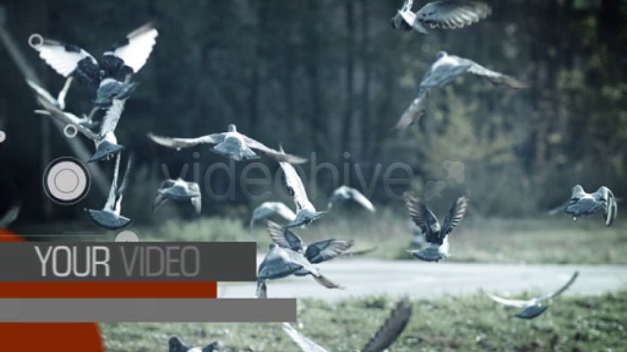 New Abstract Design - After Effects Template
