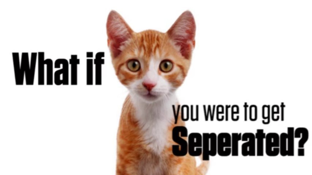 Safe t Pet