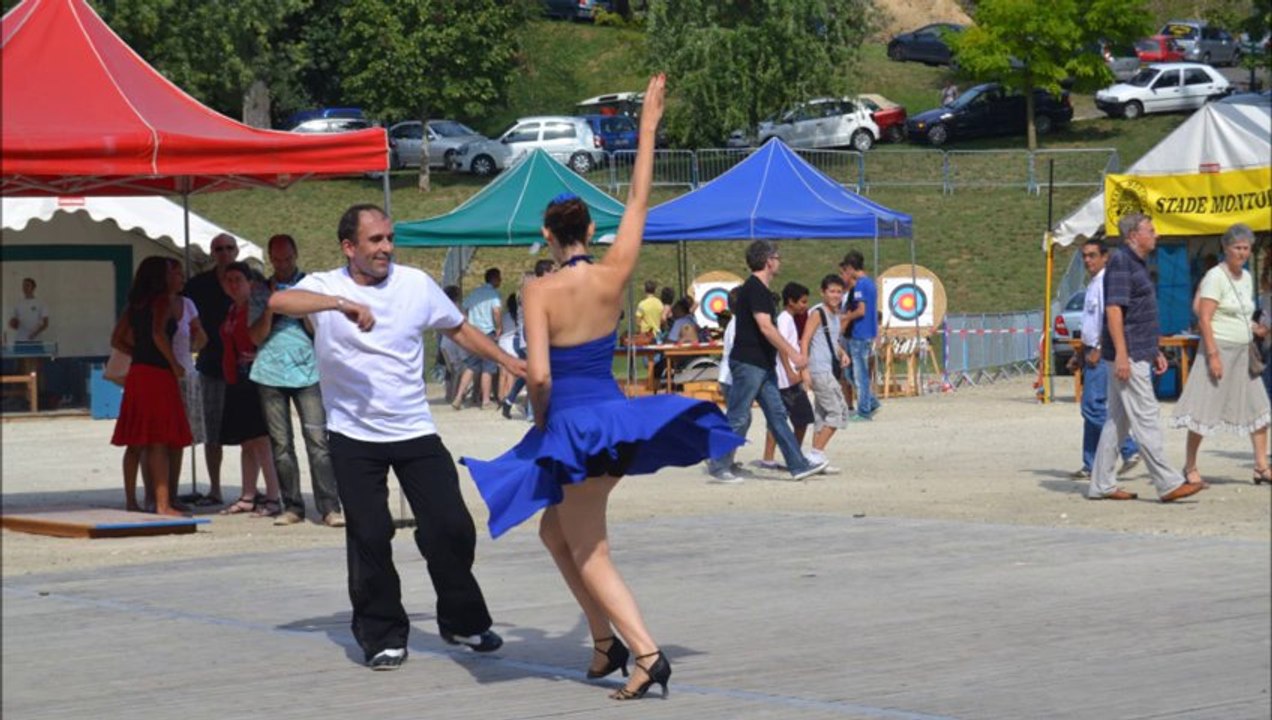 salsa forum     2011