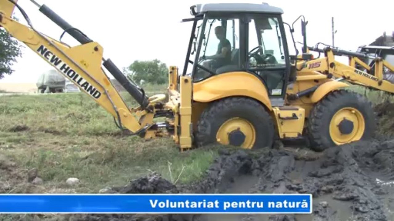 Voluntariat pentru natura