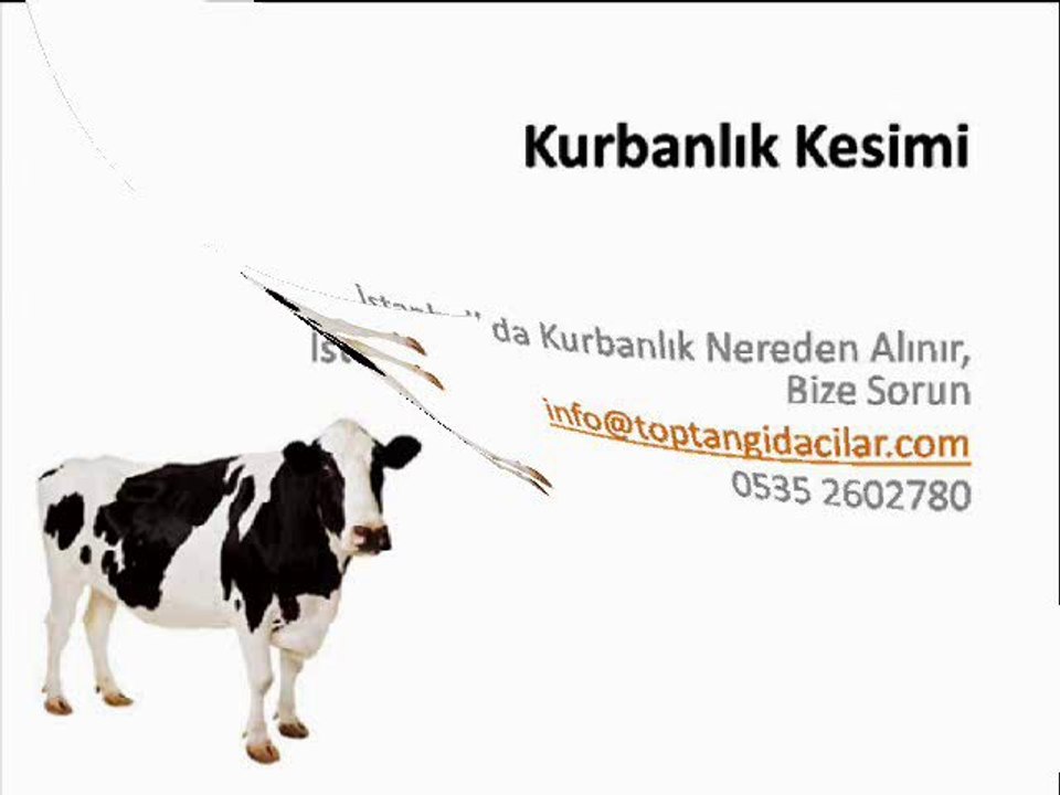 Kurbanlık Nerede Kesilir, Kurbanlık Kesim Yerleri İstanbul, Kurbanlık Kesim Yerleri 2013