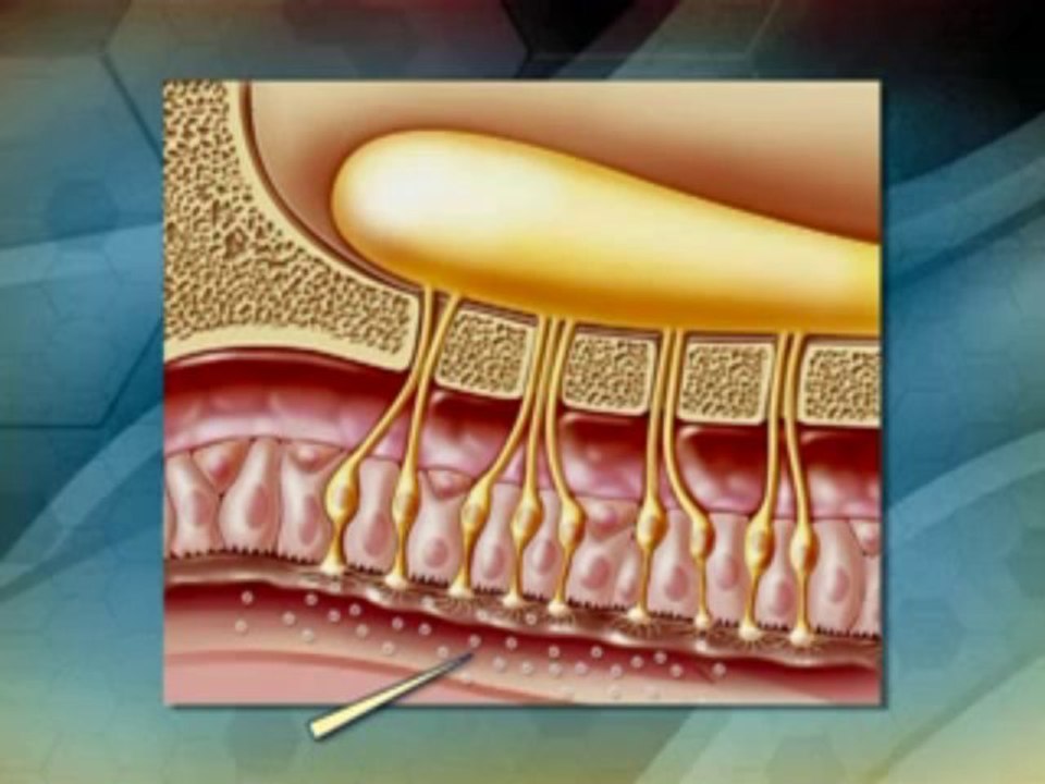 07 - Coming to Your Senses