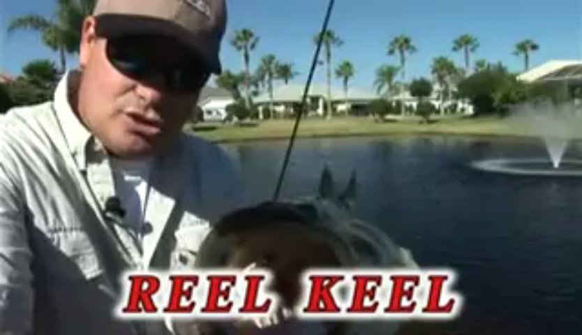 Reel Keel # One Bass Fishing Lure