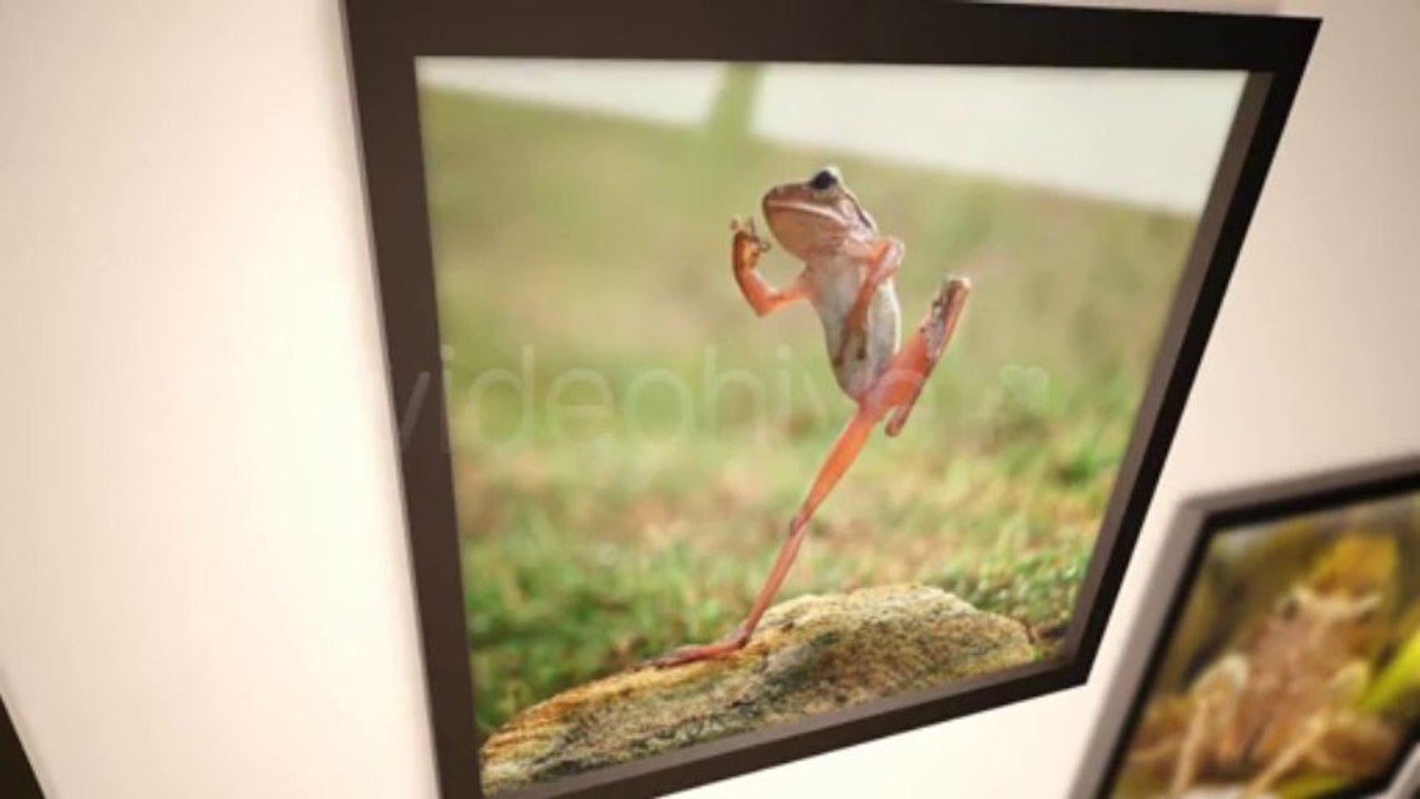 Photo Show Room - After Effects Template