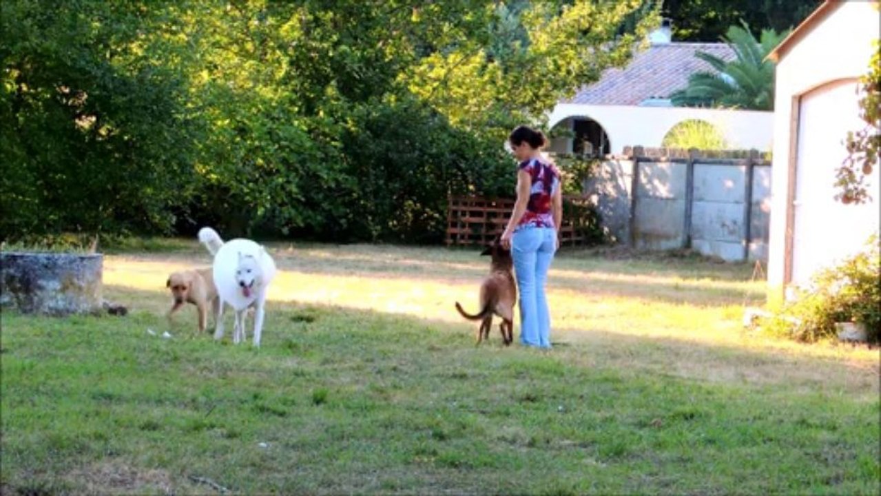 Apprentissage