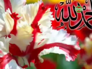 Ammi Sab Kehte Hai Ramzan Aaya Hai