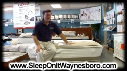 Mattress Store Charlottesville VA | Flare Bed-Sleep On It