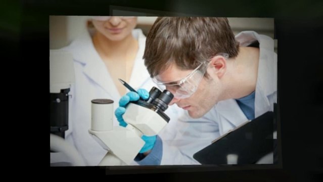 Head Lice Treatments in Philadelphia