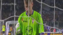 Serie A: Fiorentina 2-1 Catania (all goals - highlights - HD)