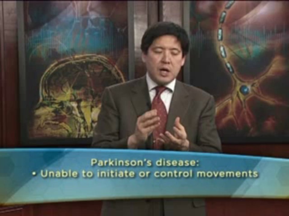 11 - Reward Adaptation and Addiction_mpeg4