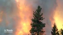 Californie : un des 20 plus graves incendies de tous les temps