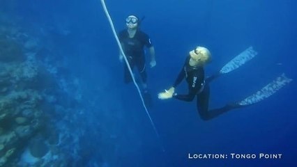 Freediving course AIDA1 + Training day