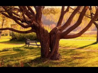 Suavi    -   Yollara vur yüreğini