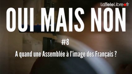 OUI MAIS NON 8 - À Quand Une Assemblée À l'Image des Français ?