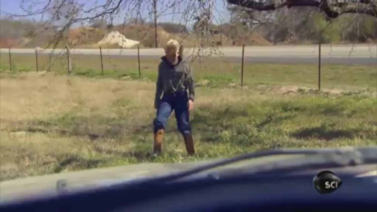 Chupacabra in Texas