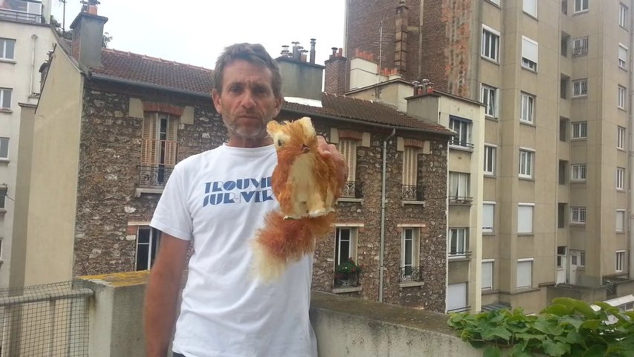 Birenbaum Bashe... Les Plumés