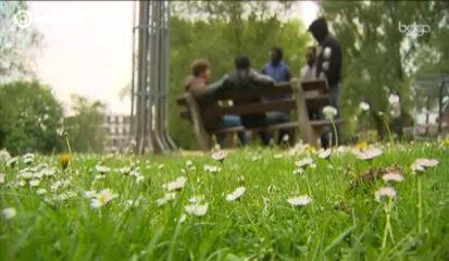 Guerre des gangs à Bruxelles