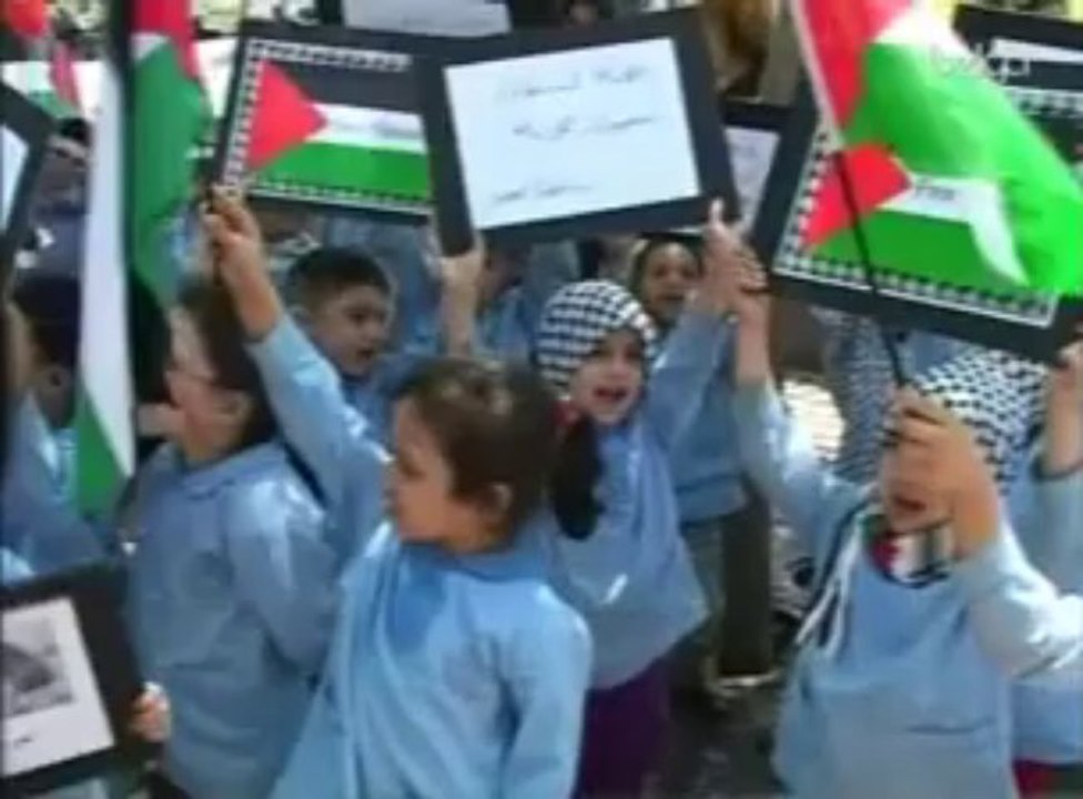 Protestations contre le raid israélien