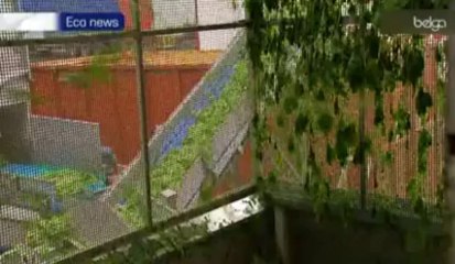 Des souris mortes dans vos surgelés