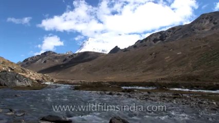 Sikkim-river-HDV-540-13-2
