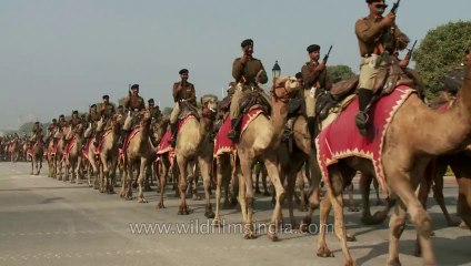 Republic day rehearsal-delhi-24