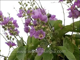 UP-Noida-Building-DVD-114-1