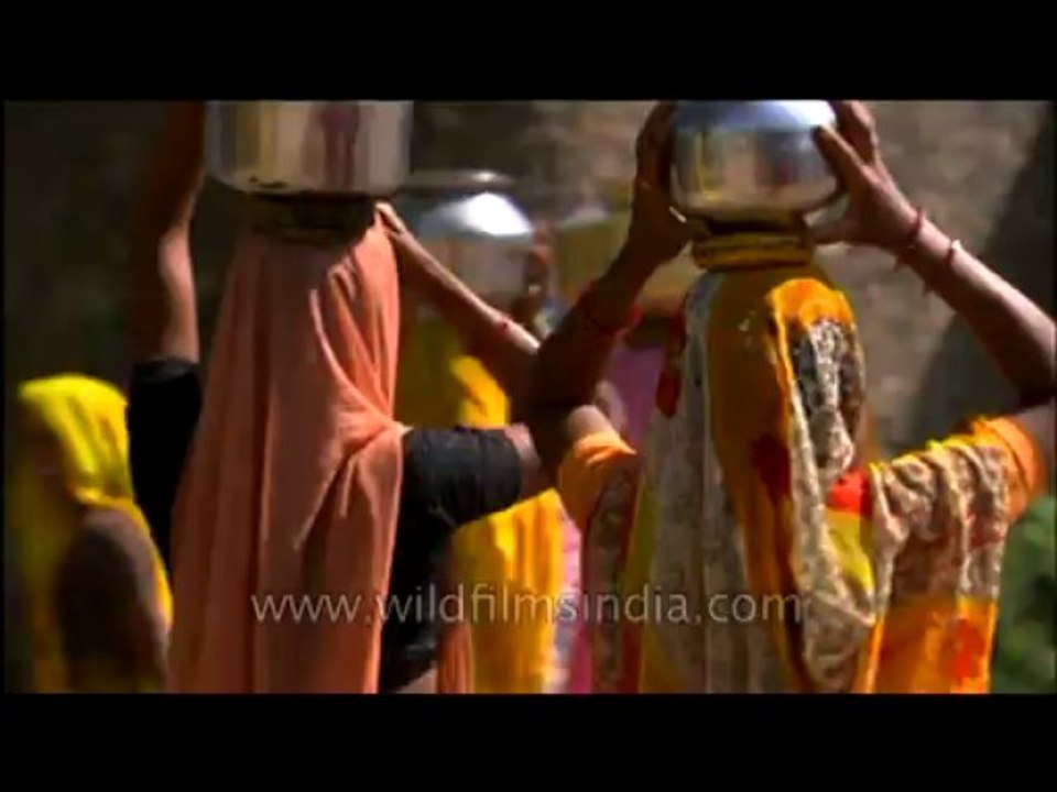 Villagers-barelly-3