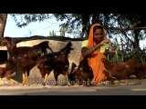 Villagers-rajasthan-11