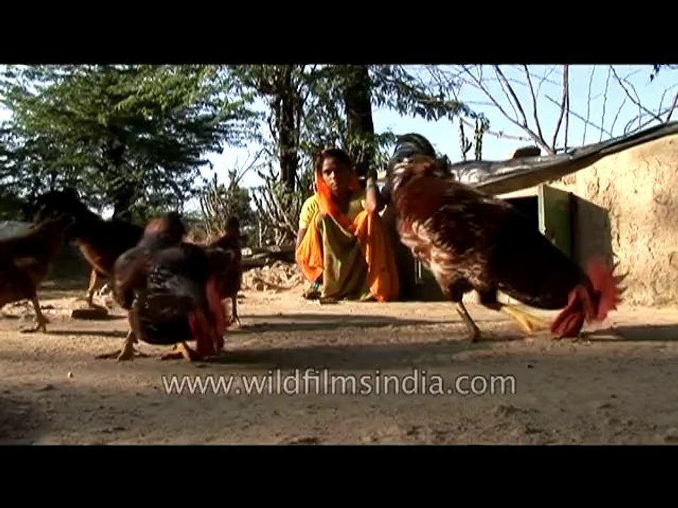 Villagers-rajasthan-12