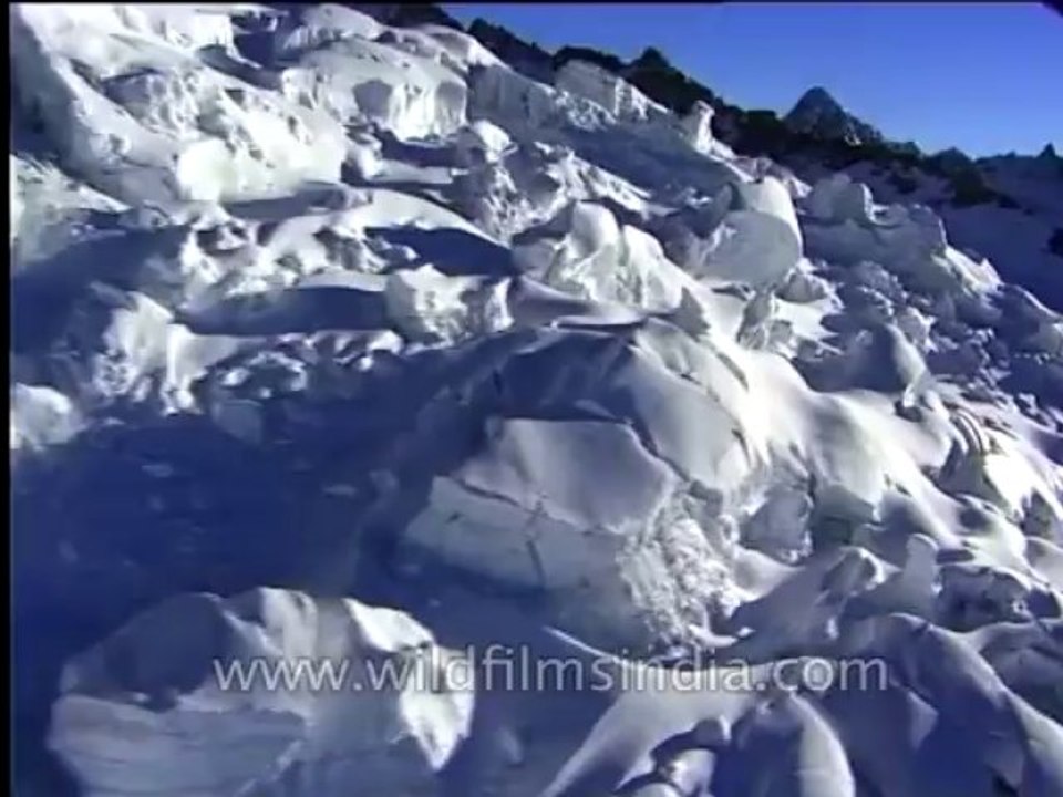 Aerial-chopper-dvd-104-16